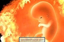 Vývoj dítěte - 13 týdnů těhotenství